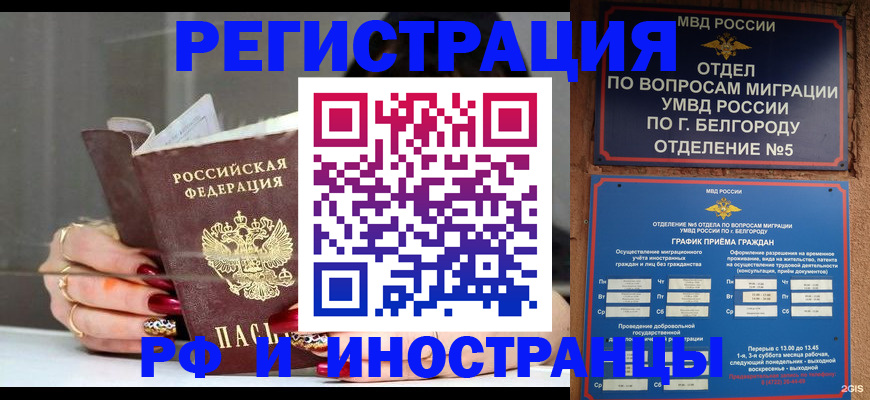 прописка в Волхове